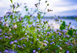 20170829-holistic-approach