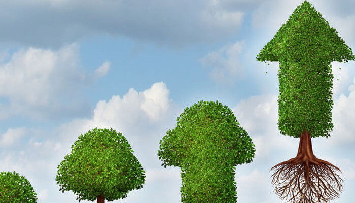 A man stands on a beach looking out to sea