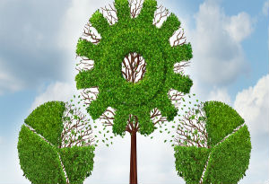 illustration of a investment trees