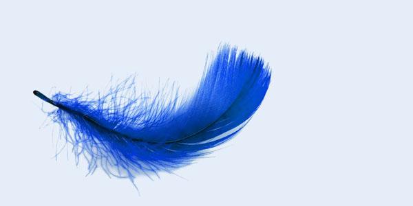 Blue Feather