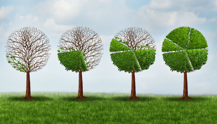 tree illustration showing investment growth 