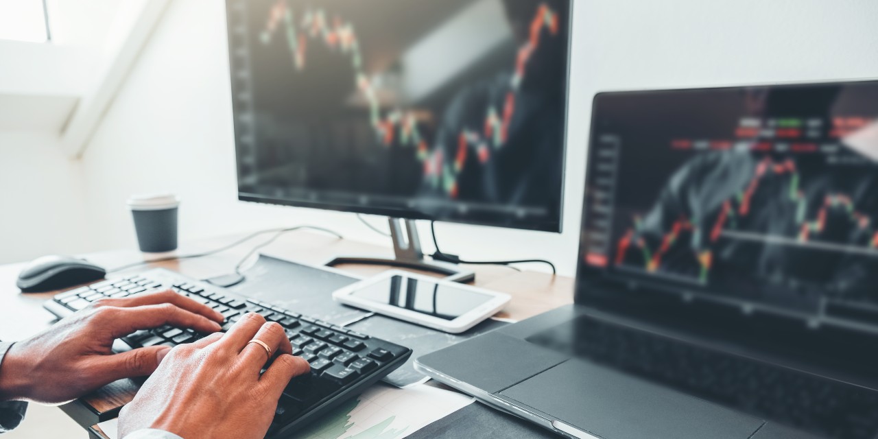 investment fund manager at computer