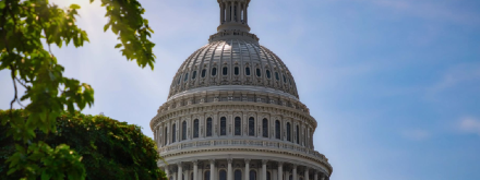 View of the White House through trees
