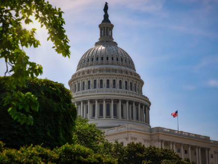 View of the White House through trees