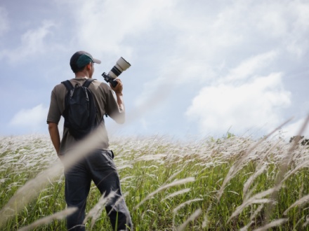 Cameraman standing holding camera in the middle of a meadow