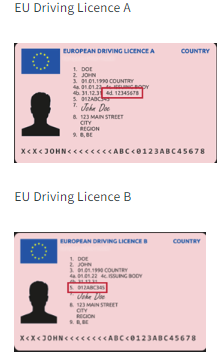 driving license example