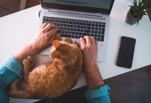 man typing on laptop with cat on desk beside him