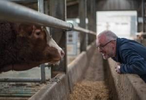 Farmer and cow