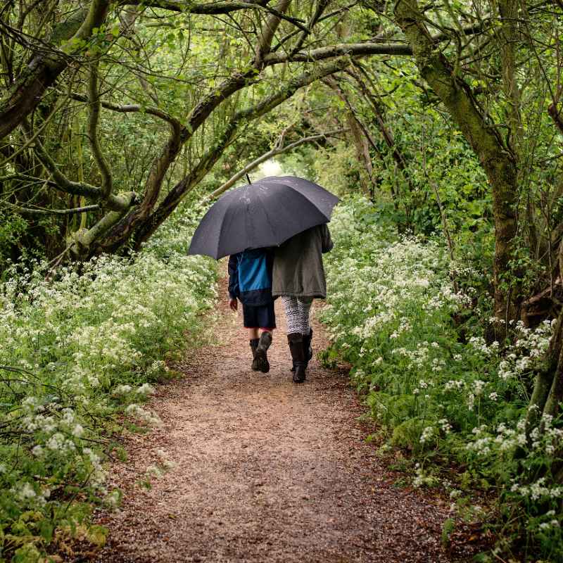 Two people walking in a forest